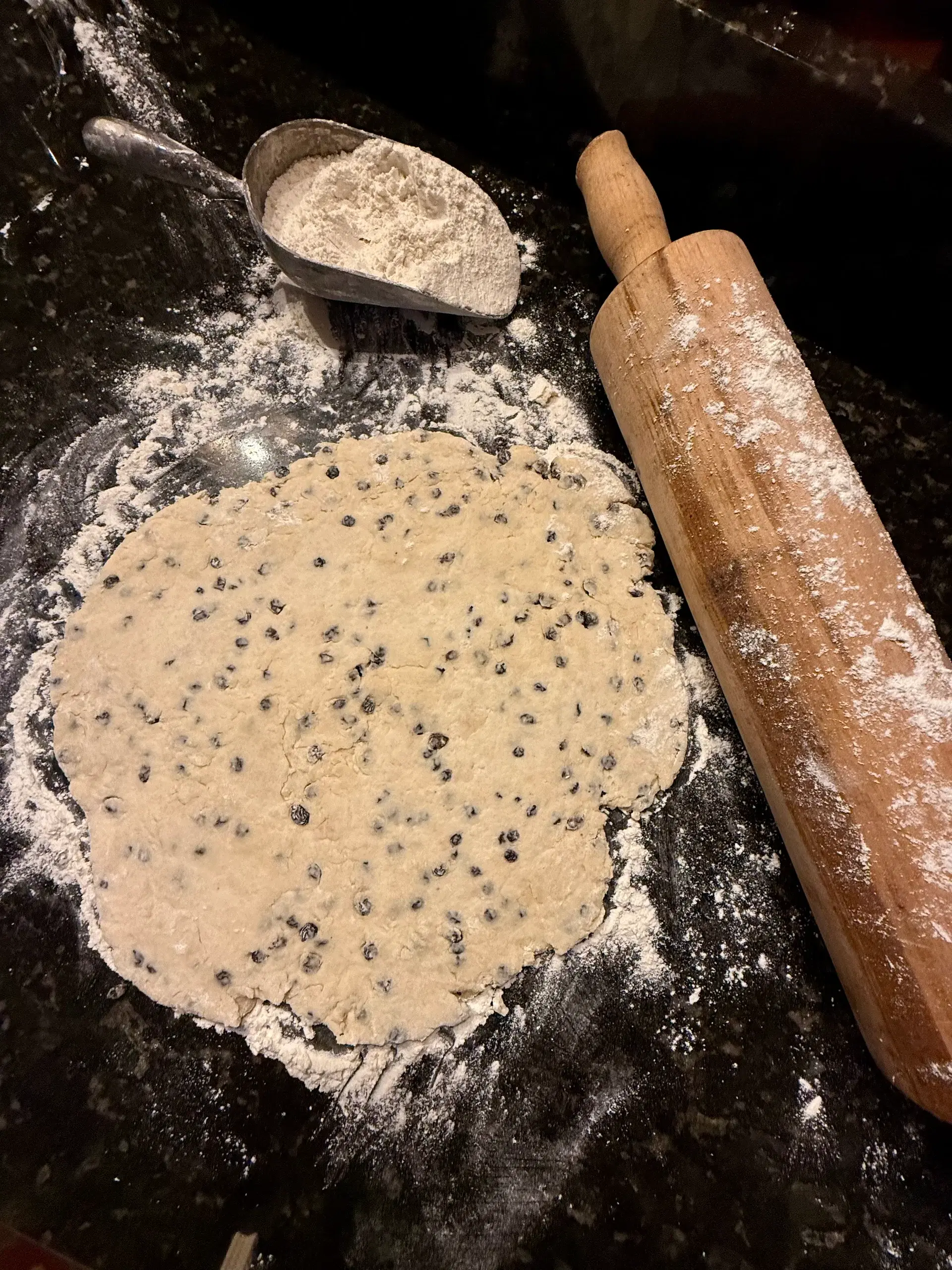 Rolled dough for griddle cakes, dotted with dried currants and ready to be cut with a round cookie cutter.