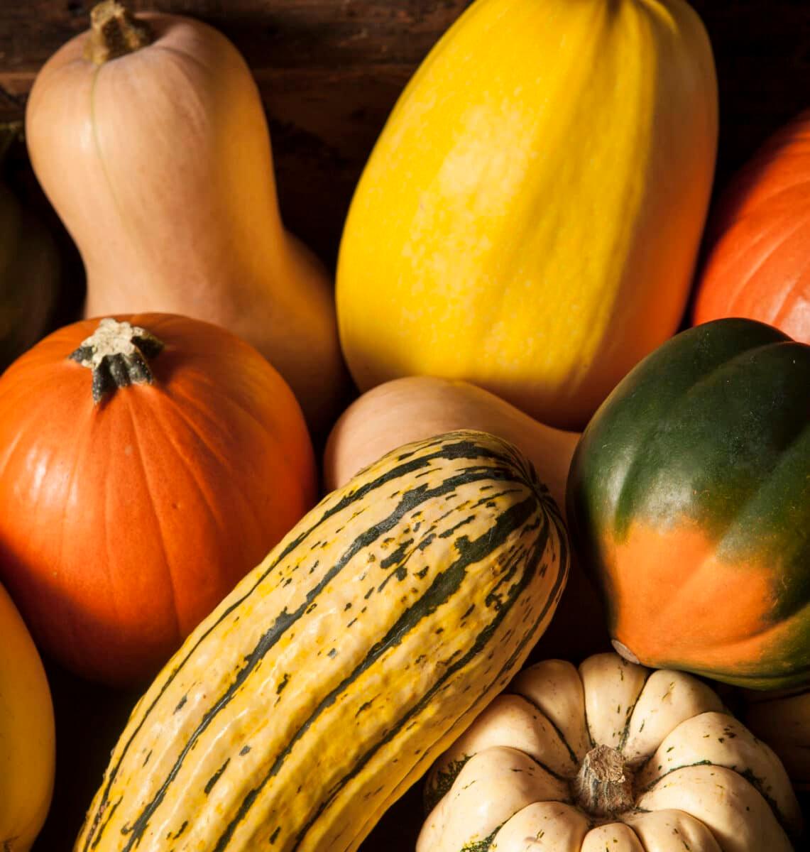 winter squash