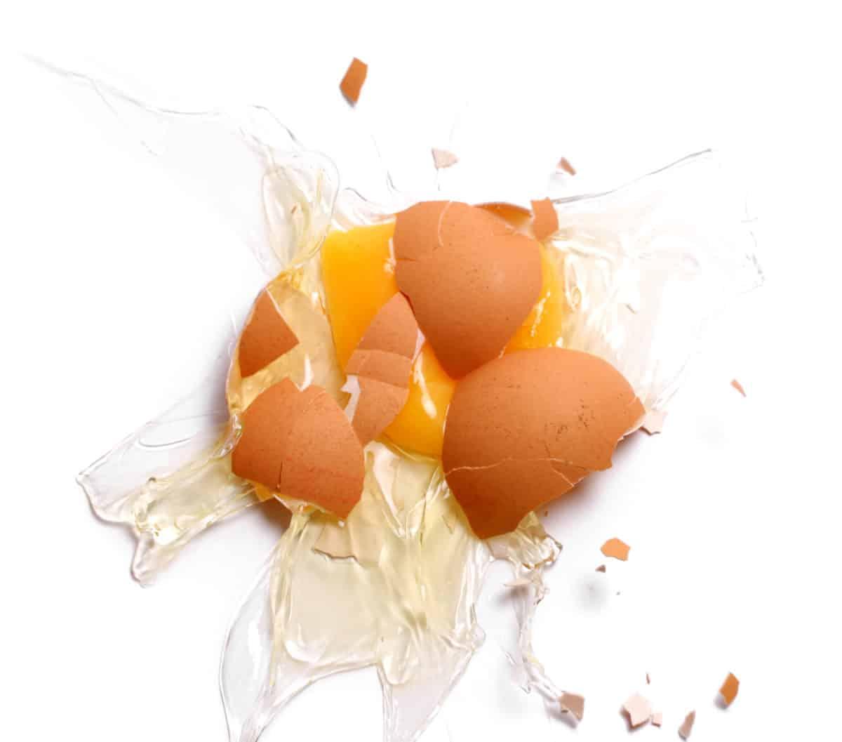 broken egg