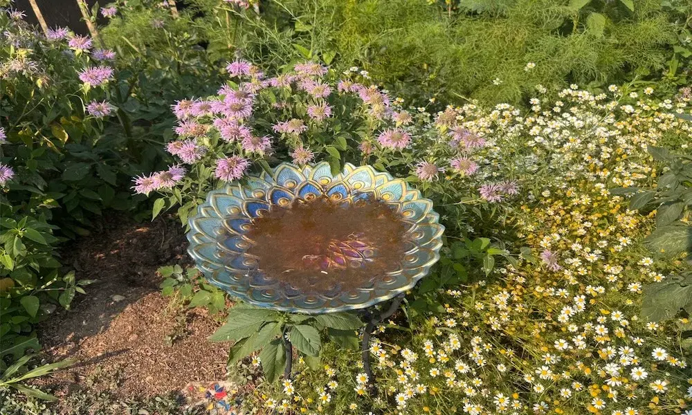 Glass bird bath