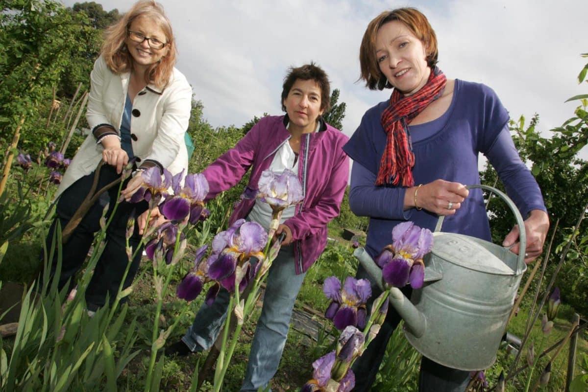 Karen Liebreich, Jutta Wagner, and Annette Wendland
