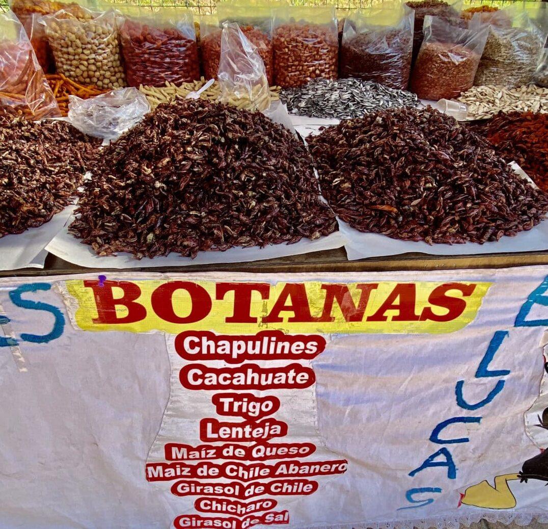 Chapulines in a Mexican market stall