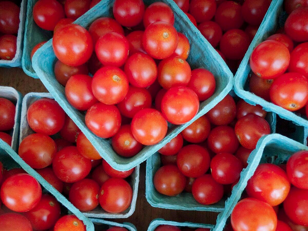 Baskets of cherry tomatoes